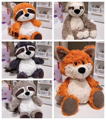 Neu waschbär fuchs - waschbär, /