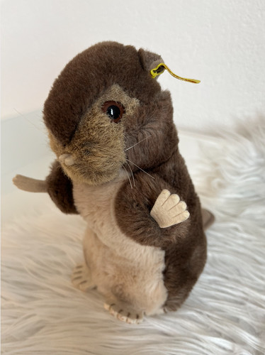 Steiff biber 2125 - 2125/20, mit
