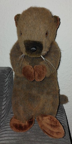 Plüschtier-Kuscheltier-